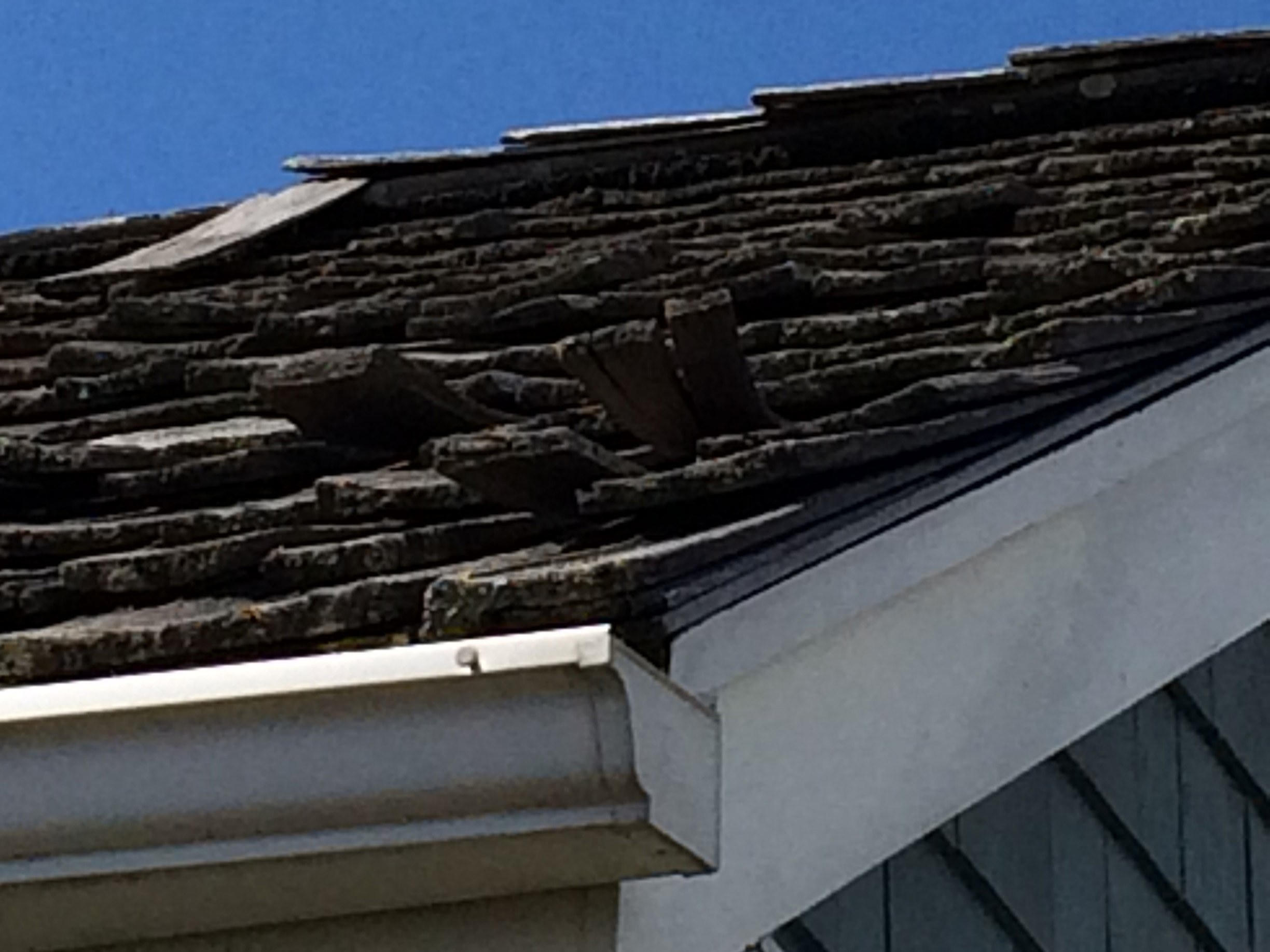 warped cedar shakes on a roof